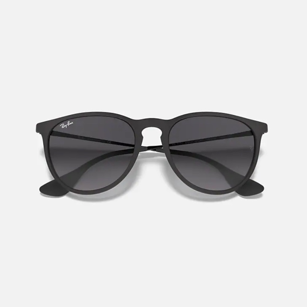Polarized Ray Ban Erika Sunglasses
